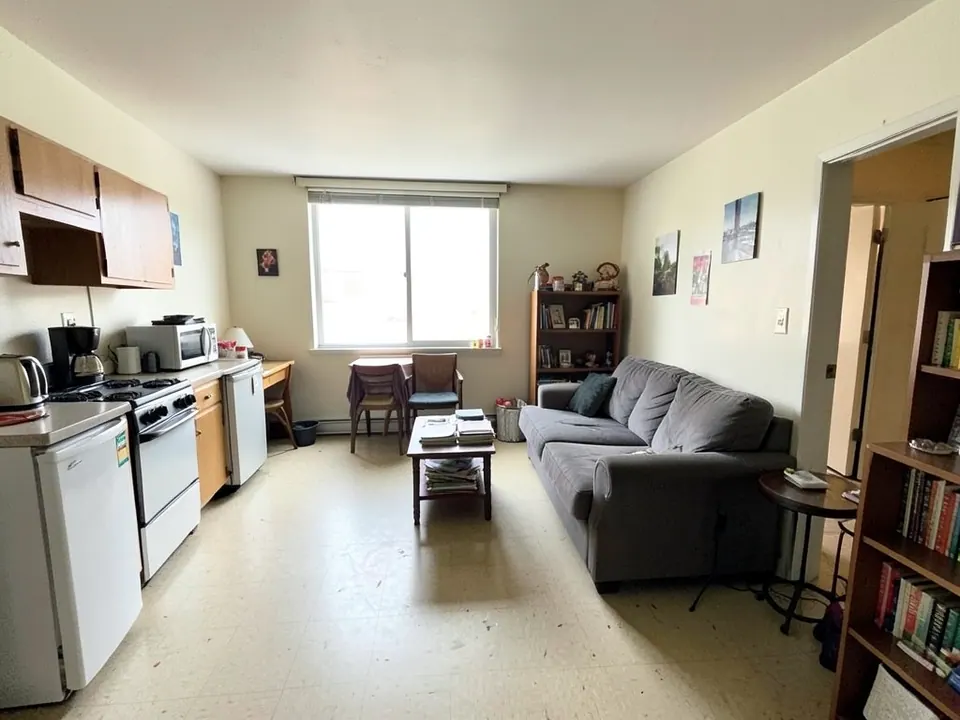 Small apartment with a dark sofa and compact kitchen